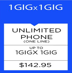 1 GIG/1 GIG MBPS - $142.95