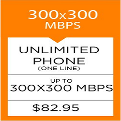 300x300 MBPS - $82.95